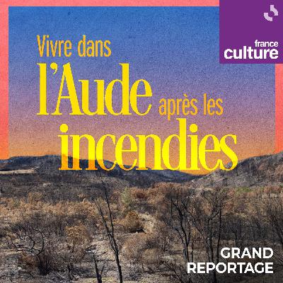 Vivre dans l'Aude après les incendies 1/5 : Des hectares calcinés, des exploitations détruites