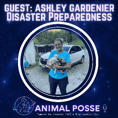 Disaster Preparedness: A Conversation with Ashley Gardenier of Southern Paws Inc.