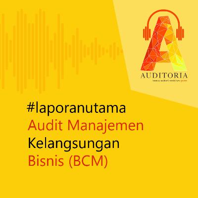 Audit Manajemen Kelangsungan Bisnis (BCM) - Feat. Tri Achmadi (Auditor Madya Kementerian Keuangan)
