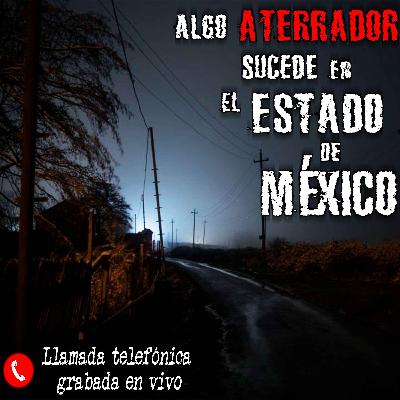 La Gárgola de Tecámac, Estado de México
