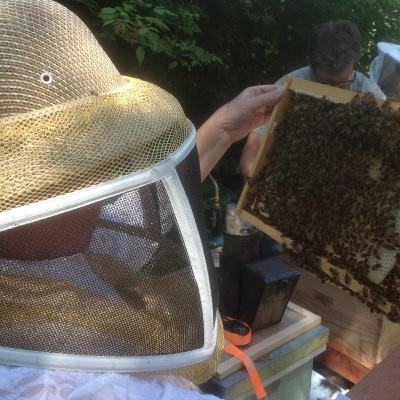 S1.E2 - Bee Queen - Cheryl S1.E2 - Bee Queen - Cheryl
