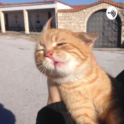 21 - Recadrages 21 - Recadrages