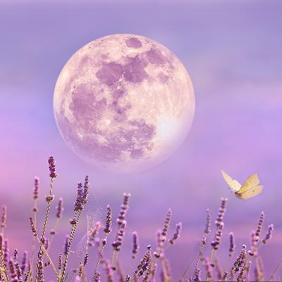 Full Moon Meditation Music & Nature Sound Healing