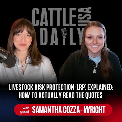 281: Livestock Risk Protection (LRP) Explained: How to Actually Read the Quotes 281: Livestock Risk Protection (LRP) Explained: How to Actually Read the Quotes