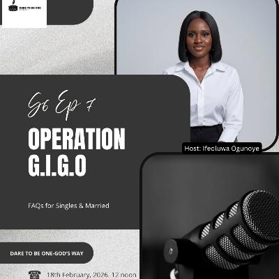 Operation GIGO part 3