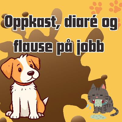 #8. Oppkast, diare og flause på jobb