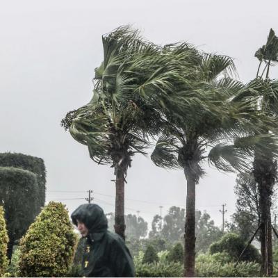 Thời sự 6h 21/7/2025: Bão số 3 giật cấp 14 đang tiến rất nhanh vào vùng biển Bắc Bộ Thời sự 6h 21/7/2025: Bão số 3 giật cấp 14 đang tiến rất nhanh vào vùng biển Bắc Bộ