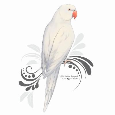 Assovio Harry Potter