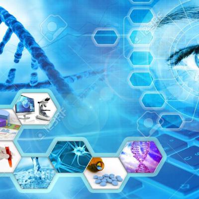 Transcurso de nuestra investigación científica
