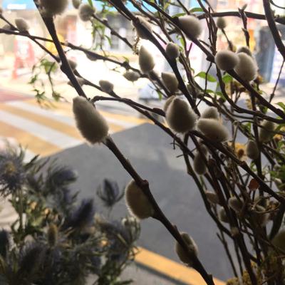 Дама с собачкой часть 1-1 Дама с собачкой часть 1-1