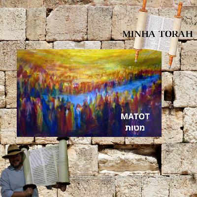 MATOT - TRIBOS