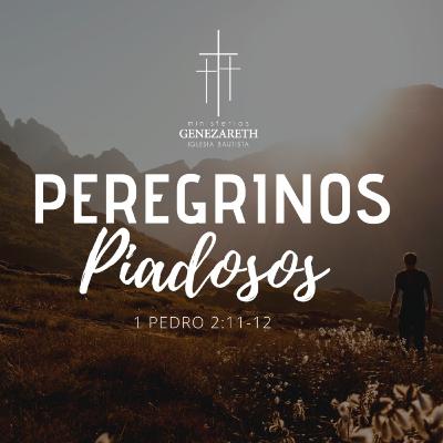 Peregrinos piadosos - 1 de Pedro 2:11-12 Peregrinos piadosos - 1 de Pedro 2:11-12
