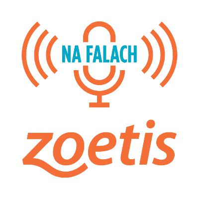 Zwiastun Na Falach Zoetis