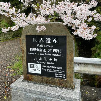 第35回 世界遺産!熊野古道109㎞テント背負って歩いた! 第35回 世界遺産!熊野古道109㎞テント背負って歩いた!