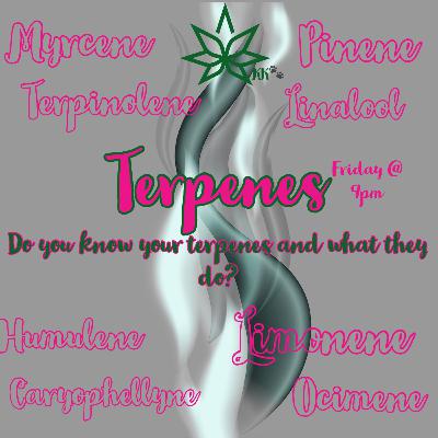 S3E12 What’s your TERP?