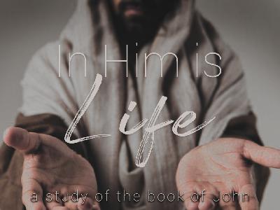 How to Bring the Dead to Life: Easter Sunday How to Bring the Dead to Life: Easter Sunday