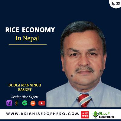 Rice Economy in Nepal || Bhola Man Singh Basnet
