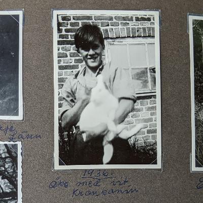 Blodad tand #5 - Everyday