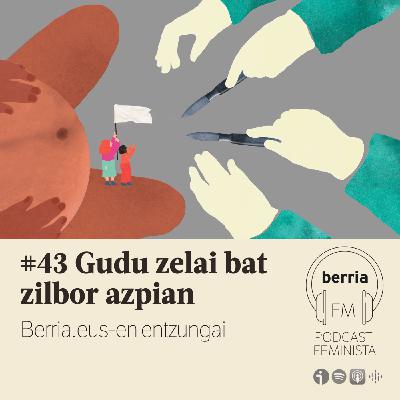 Gudu zelai bat zilbor azpian
