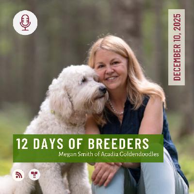 12 Days of Breeders 2025 - #10 - Megan Smith of Acadia Goldendoodles 12 Days of Breeders 2025 - #10 - Megan Smith of Acadia Goldendoodles