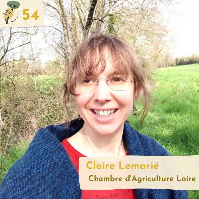 #54 The importance of peer to peer learning to activate local agroforestry dynamics with Claire Lemarié