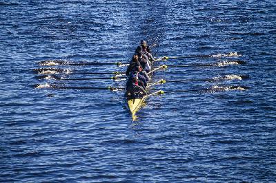 Brookline native leads Bucknell University's women's rowing at the Head of the Charles