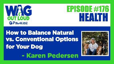 How to Balance Natural vs. Conventional Options for Your Dog