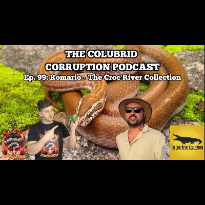 The South African Side of the Hobby w/ The Croc River Collection | Colubrid Corruption | Ep. 99