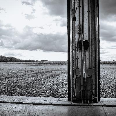 Fields of Confinement