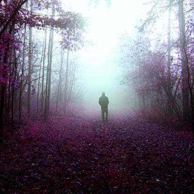 Shrouded in Mystery:Introduction