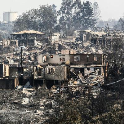 "Virus de la corrupción": Las graves irregularidades detectadas por Contraloría en la reconstrucción post mega incendio "Virus de la corrupción": Las graves irregularidades detectadas por Contraloría en la reconstrucción post mega incendio