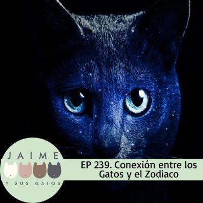 Ep 239 conexión entre el gato y los signos del zodiaco