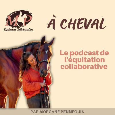 137. Et si l’énergétique n’était pas un truc de perchés ?