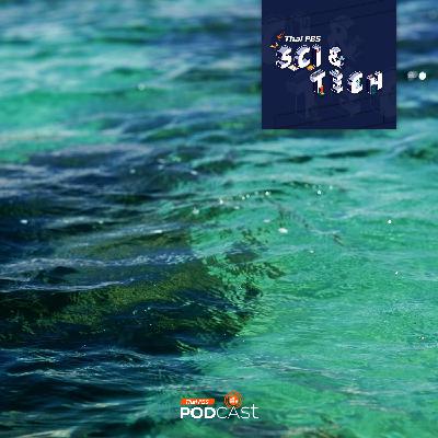 Sci & Tech EP. 861: มหาสมุทรเปลี่ยนสีกำลังบอกอะไรกับโลกของเรา