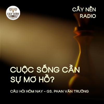 Cuộc sống cần SỰ MƠ HỒ? | GS Phan Văn Trường | Cấy Nền Radio | #CauHoiHomNay135
