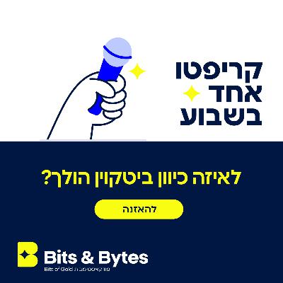 קריפטו אחד בשבוע: לאיזה כיוון ביטקוין הולך?