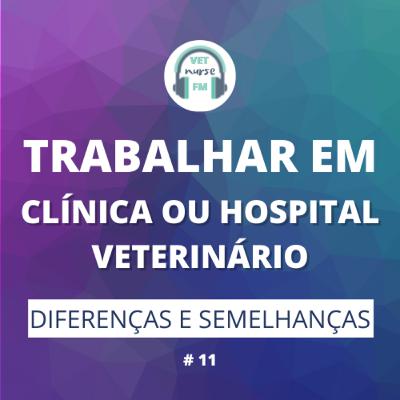 Trabalhar em clínica ou hospital veterinário - diferenças e semelhanças 🤔 Trabalhar em clínica ou hospital veterinário - diferenças e semelhanças 🤔