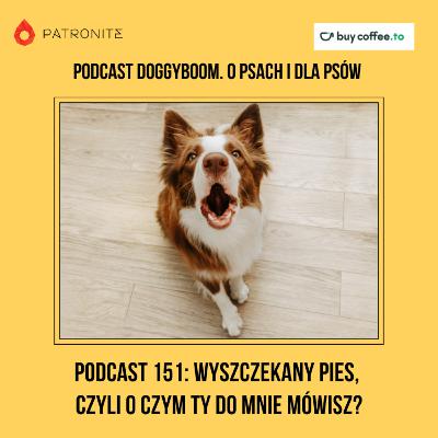 Podcast 151: Wyszczekany pies, czyli O czym Ty do mnie mówisz?
