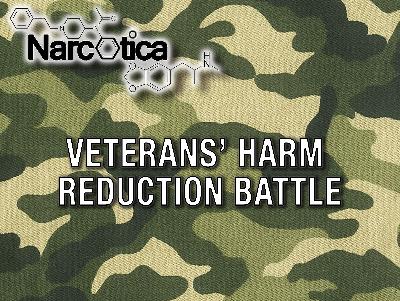 Episode 93: Veterans’ Harm Reduction Battle with Beth Dinges