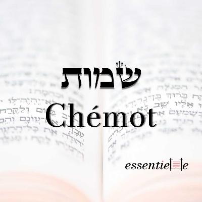 5786 - Chemot - Pourquoi Dieu a t-il choisi Moché ?