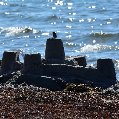 Meditation to Release Resentments