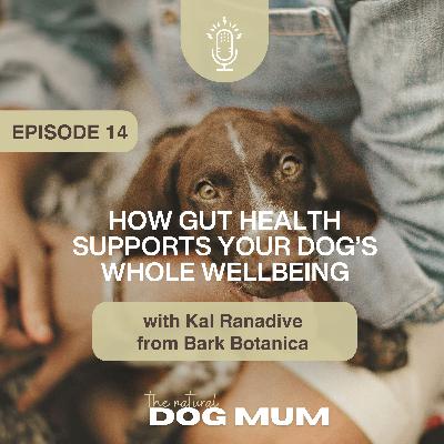 How Gut Health Supports Your Dog’s Whole Wellbeing with Kal Ranadive from Bark Botanica