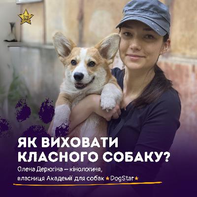 Гуманний та аверсивний методи виховання собак: що це таке?