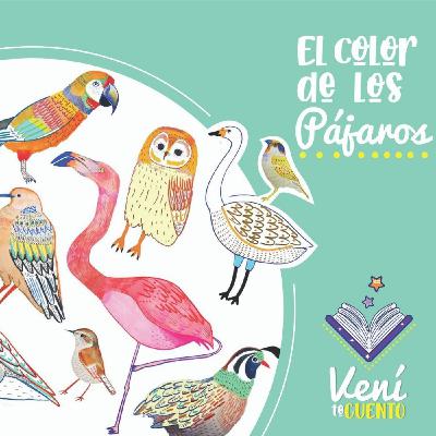 Podcast - El color de los pajaros Podcast - El color de los pajaros