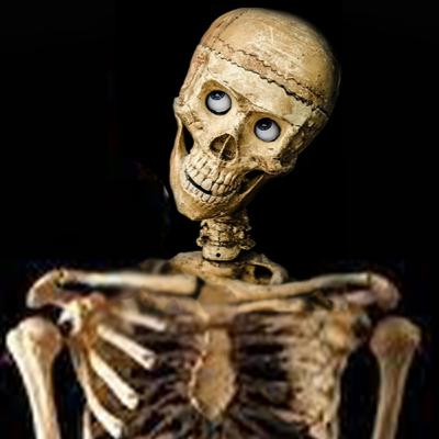 UF. 22 - Disjointed Facts About Bones & Skeletons UF. 22 - Disjointed Facts About Bones & Skeletons