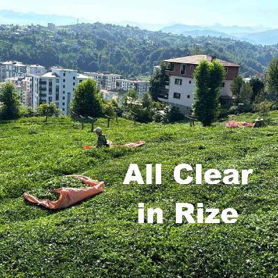 Tea News Recap | Appeals Court Finds US Tariffs Illegal | Tariffs Threaten India's US Tea Exports | Rize Tea Radiologically Safe, 30 Years After Chernobyl
