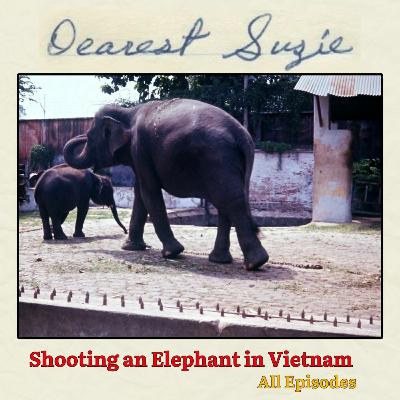 Shooting an Elephant in Vietnam: Full Piece