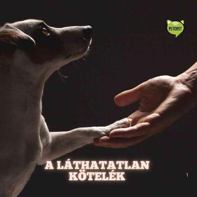 Láthatatlan kötelék van kutya és gazdi között
