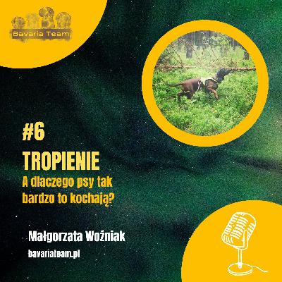 #6. A dlaczego nasze psy tak bardzo kochają tropienie?