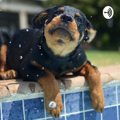 The Legend of Aernielle